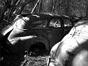 Autofriedhof - 171